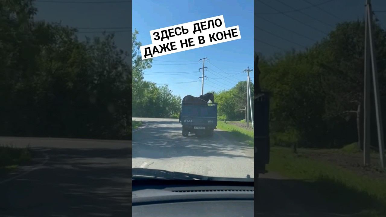 Дело не в коне смотреть онлайн
