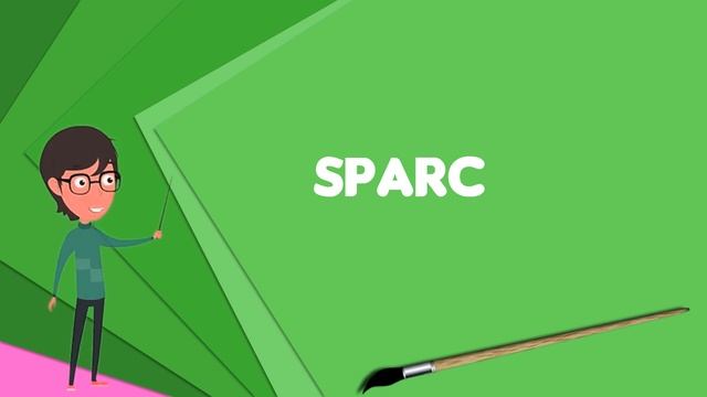 What is SPARC? Explain SPARC, Define SPARC, Meaning of SPARC смотреть онлайн