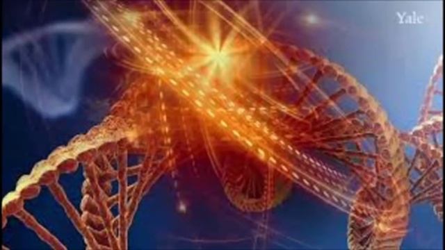 СКРЫТЫЙ ШАБЛОН МОЛОДОСТИ-ченнелинг послание Крáйонa 2016 смотреть онлайн