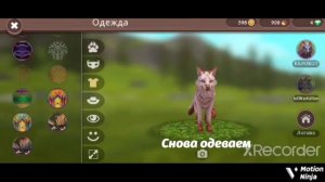 Как получить бесплатно мистик и клаб WildCraft!? Ответ тут! Рабочий способ!