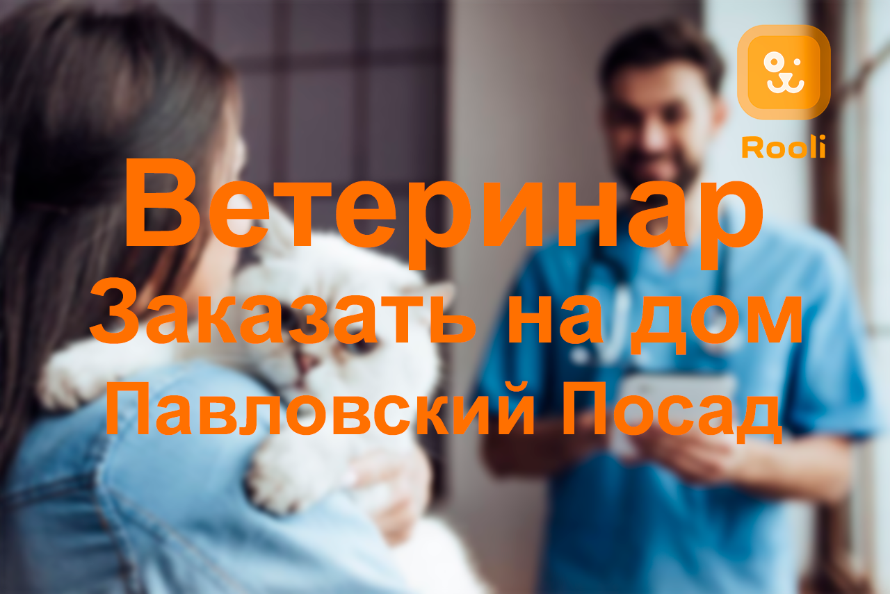 Ветеринар в Павловском Посаде: Качественная медицинская помощь вашим питомцам. смотреть онлайн