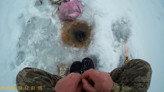 Нереальный клев Белой рыбы (часть1) !!! Бешаный клев плотвы и окуня!! смотреть онлайн