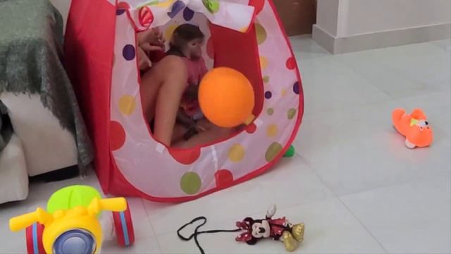 Никуся и Викуся 😊 прятки, шарики, догонялки! смотреть онлайн