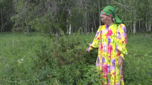 Ирина Петровна отторо - Кытыан смотреть онлайн