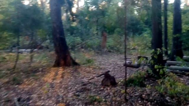 На кроссаче в подъем, максимальный уклон 45 градусов - 2. On a motocross bike in the rise - 2. смотреть онлайн