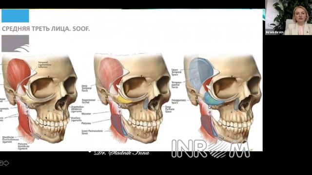 «Концепция определения омоложения средней и нижней трети лица филлерами ГК нового поколения».