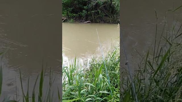 Рыбалка на реке Кума. Пусто??♂️?. Но ничего... В следующий раз повезёт! смотреть онлайн