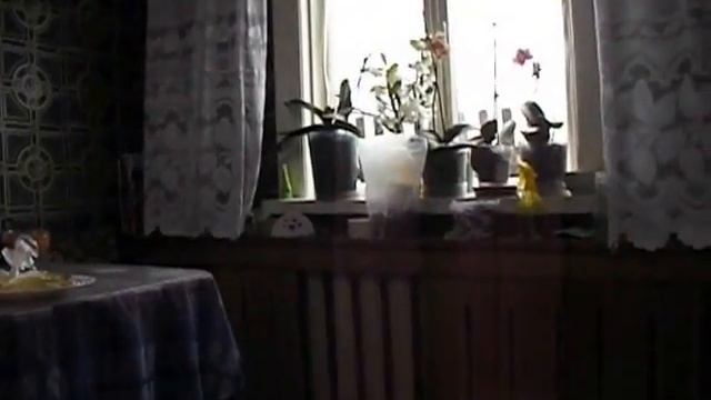 готовим жидкую подкормку для пчел, для дачи в улей смотреть онлайн