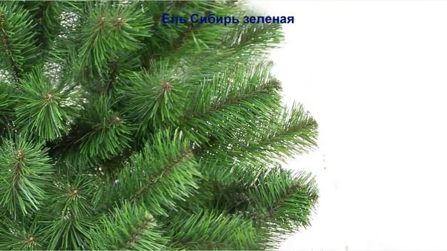 Искусственные елки купить оптом! Ель Сибирь зеленая! Закажи на сайте! смотреть онлайн