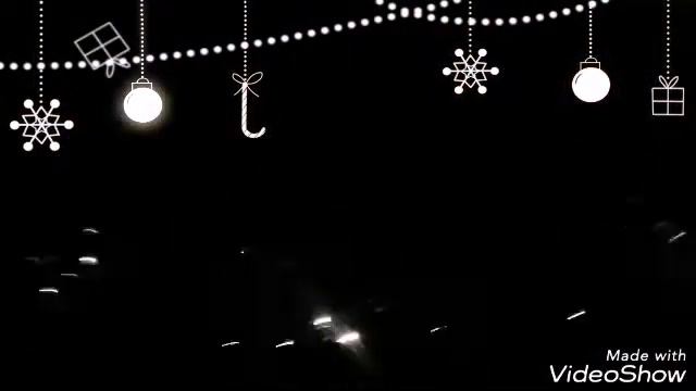 КАК У МЕНЯ ПРОШОЛ НОВЫЙ ГОД!!!!!!       ГОД СОБАКИ НАСТУПИЛ. С  НОВЫМ ГОДОМ!!!!