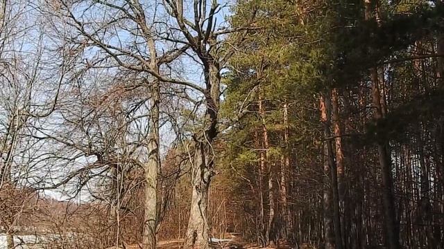 Зима уходит.Последний снег.Последний лед. смотреть онлайн