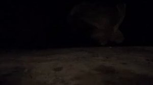 ТУШЁНАЯ КАРТОШКА С МЯСОМ  В РУССКОЙ ПЕЧИ.