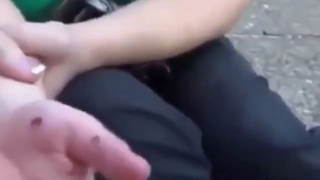 ИНСТРУКЦИЯ ПО КОРМЛЕНИЮ ДЕЛЬФИНОВ смотреть онлайн