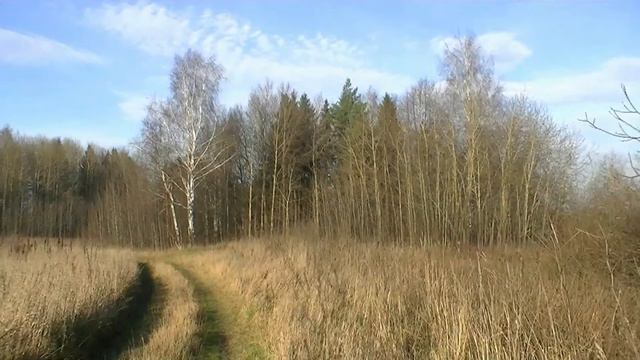 Солнечный ноябрь!