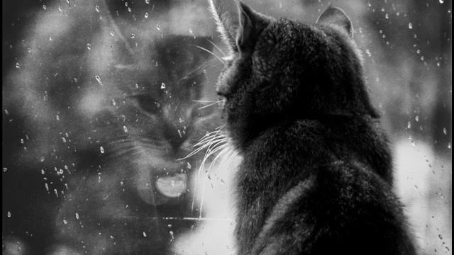 DJ Groove - Ноктюрн, № 3 (Ты опоздал, меня уже нет!) смотреть онлайн