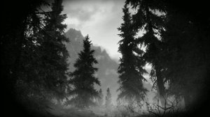 Необычный случай на дороге, рассказ дальнобойщика! | Страшная история!