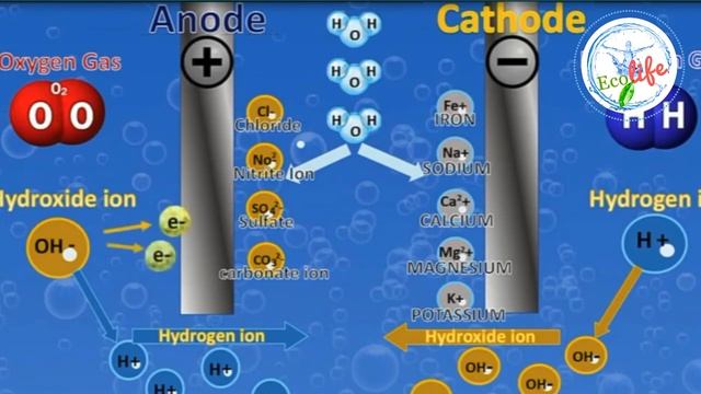 Электролиз в аппаратах ENAGIC | Вода Kangen смотреть онлайн