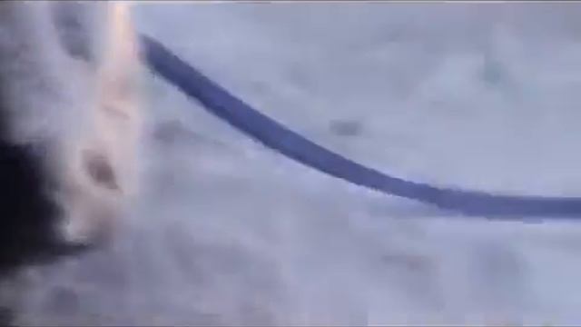 прадо против Хаммера смотреть онлайн