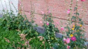 Где снимали "Осторожно модерн 2"