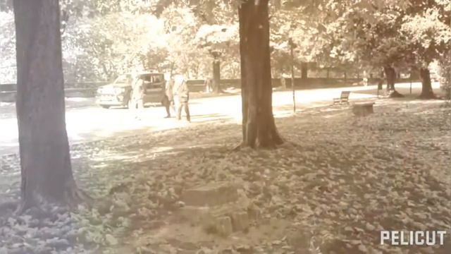 COLORI E MAGIA DELL' AUTUNNO; PARCHI CITTADINI DI TERNI IMMAGINI: Emanuele Menichelli смотреть онлайн