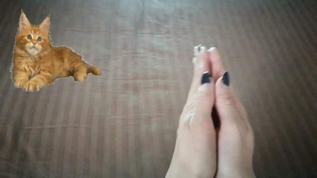 Пальчиковая гимнастика 