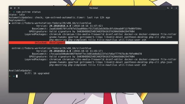 Silverblue 29 / GNOME 3.30: Development Mode Demo смотреть онлайн