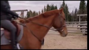 контроль над ситуацией