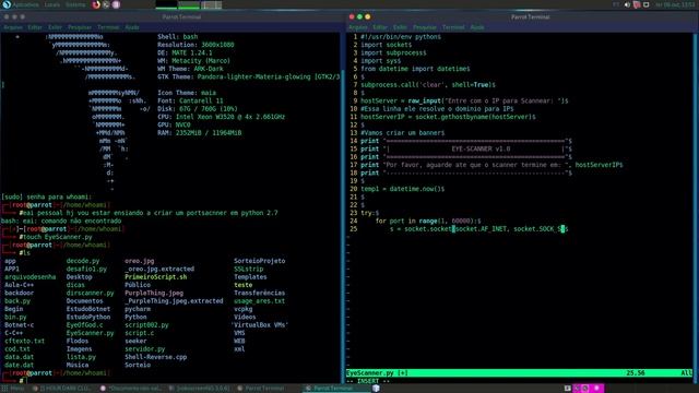 Criando Port Scanner em Python 2.7 смотреть онлайн
