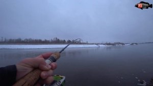 Тиляпия НА КАЖДОМ ЗАБРОСЕ || Ловля ТИЛЯПИИ на СПИННИНГ || Рыбалка в Удомле .