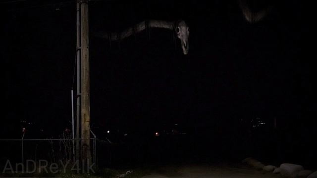 Звуки издаваемые Долговязой Лошадью | Long Horse sounds смотреть онлайн