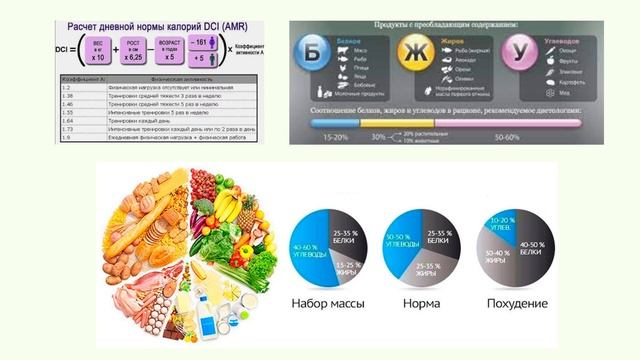 Пища - источник энергии для жизни смотреть онлайн