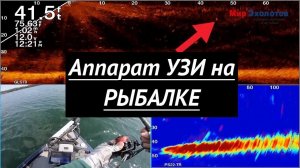 Garmin Panoptix LiveScope в деле. Эхолот как УЗИ