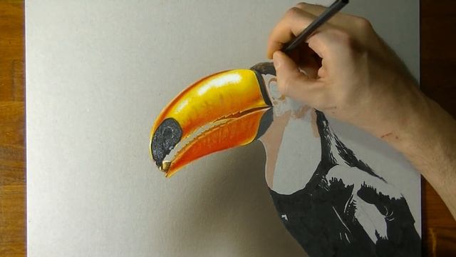 Speed Drawing: Toucan - 3D Art смотреть онлайн