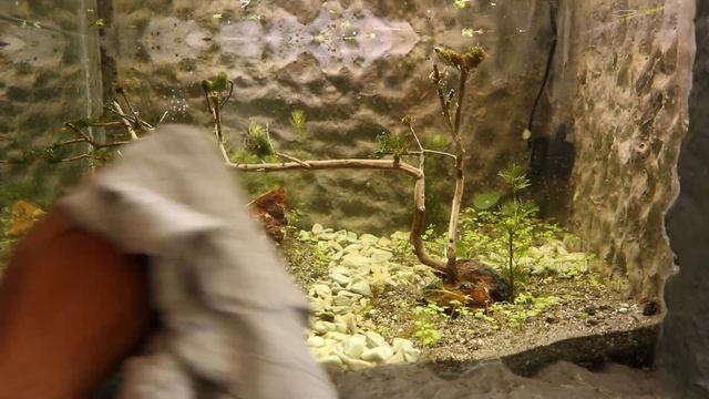 Ep.1 Diy Planted tank Water Falls, No CO2, No Oxygen, No Fertilizer, Yes Filtration смотреть онлайн