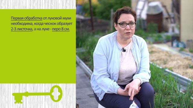 ЧУДО-СРЕДСТВО ОТ ЛУКОВОЙ МУХИ смотреть онлайн