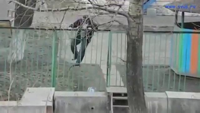 Что значит я слипой смотреть онлайн