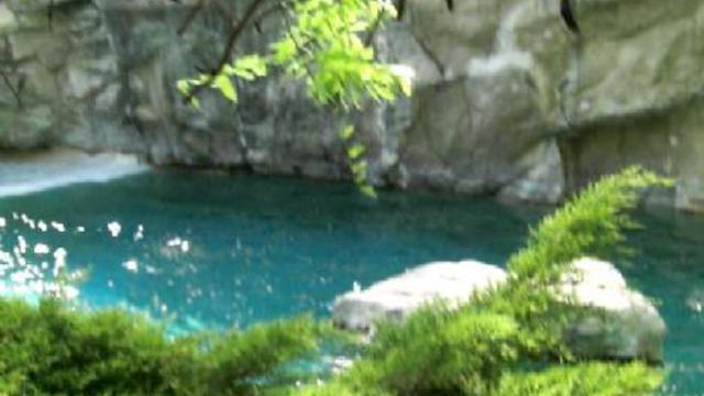 вашингтон зоо 003 смотреть онлайн