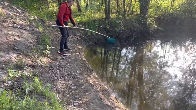 Вода в пруду очищается и уже прозрачная смотреть онлайн