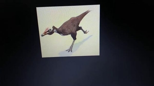 Alvarezsaurus appearance in media