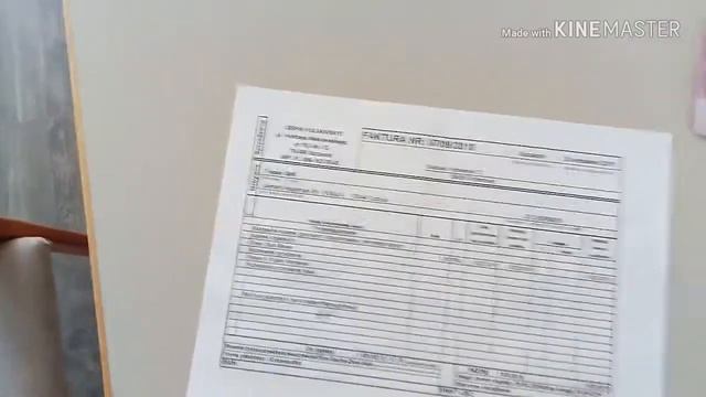 Германия. Виза Вандер Эльст. Зарплата строителя со сталым побытом Польши. смотреть онлайн