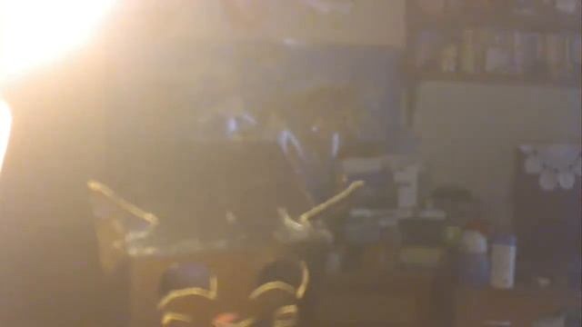 кото бокс зум в деле смотреть онлайн