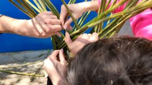 Плетение ивы/верболоза. Супер декор в ваш сад за копейки и можно сделать самому.