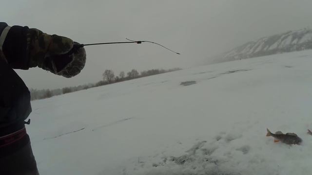 Окунь на червя зимой. смотреть онлайн