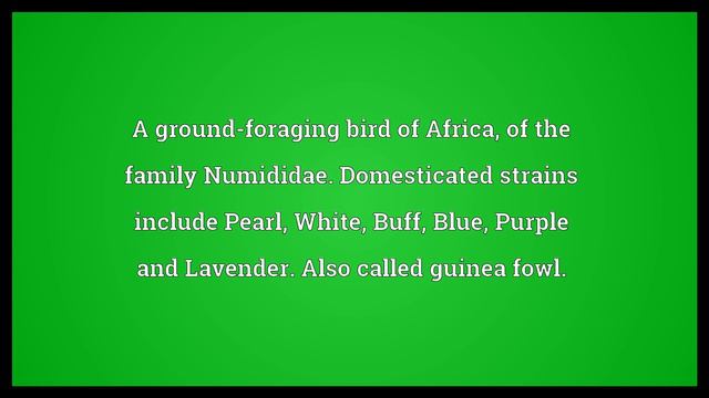 Guinea Meaning смотреть онлайн