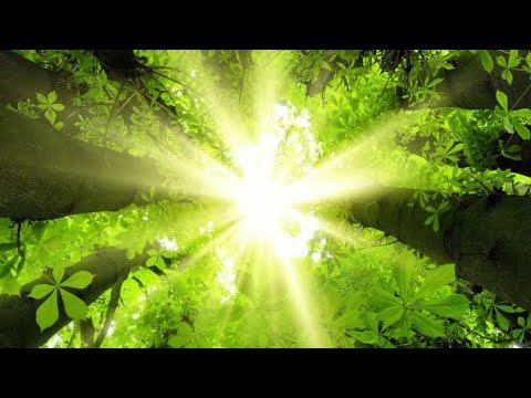 ПРОМУТИРУЕТЕ ЛИ ВЫ? ЧЕМУ ВАС УЧАТ. К ЧЕМУ ИДЁТЕ. #онлайнрасклад смотреть онлайн