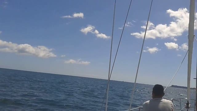 Bay of Islands day sail смотреть онлайн