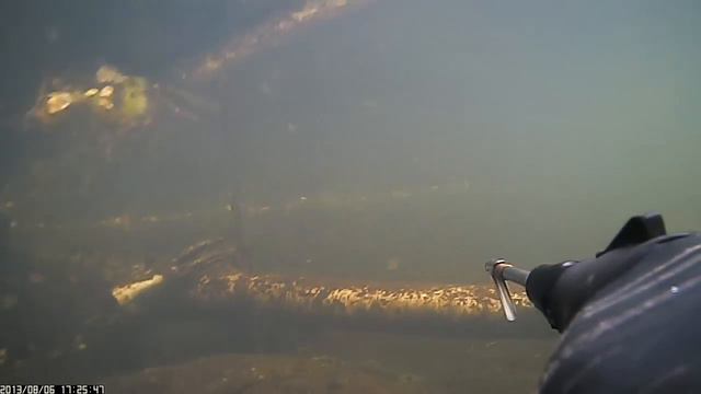 Щучье озеро смотреть онлайн