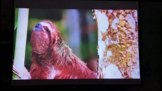 BLiTZWOLF  BW-VP15 FULL HD 1080P PROJEKSİYON CİHAZI