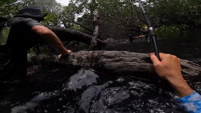 Офигел что поймал на ОСТРОВЕ АКУЛ. [Часть-8] Выживание на необитаемом новом острове. №33 смотреть онлайн