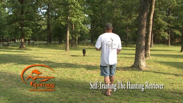 Vid 16 Establishing & Forcing To Pile смотреть онлайн